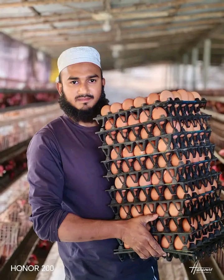 সেফ এগ ( ন্যাচারাল ও ওমেগা-৩) ডিম